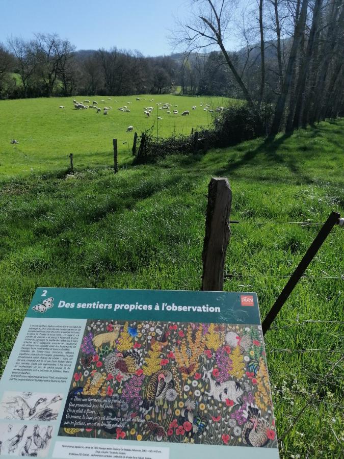 Au pays des abbayes Villa Dourgne Kültér fotó